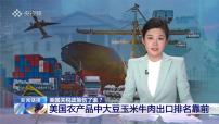 人教版(2024)七年级下册(2024)美国备课课件ppt