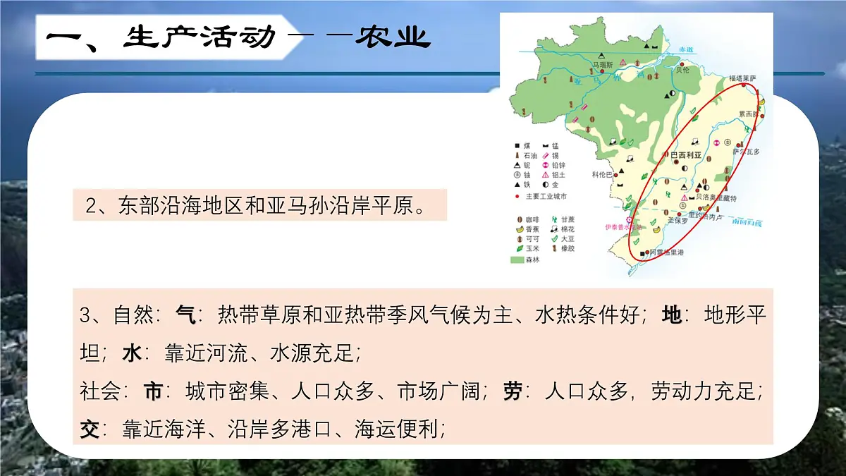7.5 探索巴西（第二课时）（课件）2025学年七年级地理下册晋教版第7页