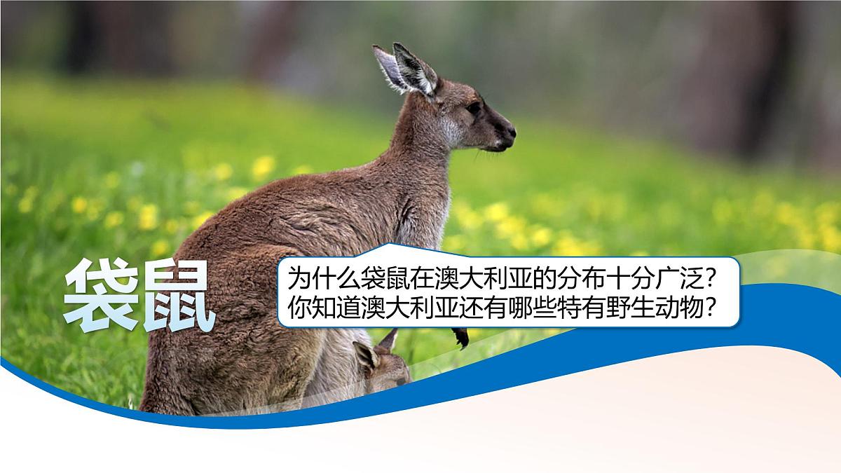 第九章 第六节《澳大利亚》课件-2024-2025学年湘教版初中地理七年级下册第2页