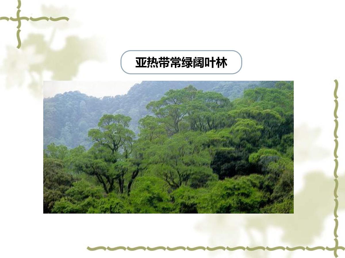 _4.2 天气与气候课件 2024~2025学年粤人版七年级上册地理第3页