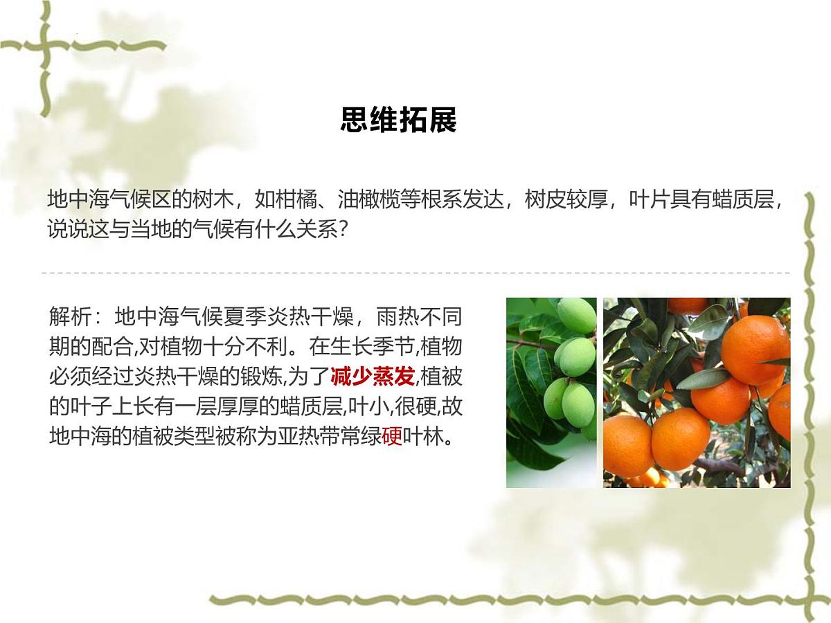 _4.2 天气与气候课件 2024~2025学年粤人版七年级上册地理第6页