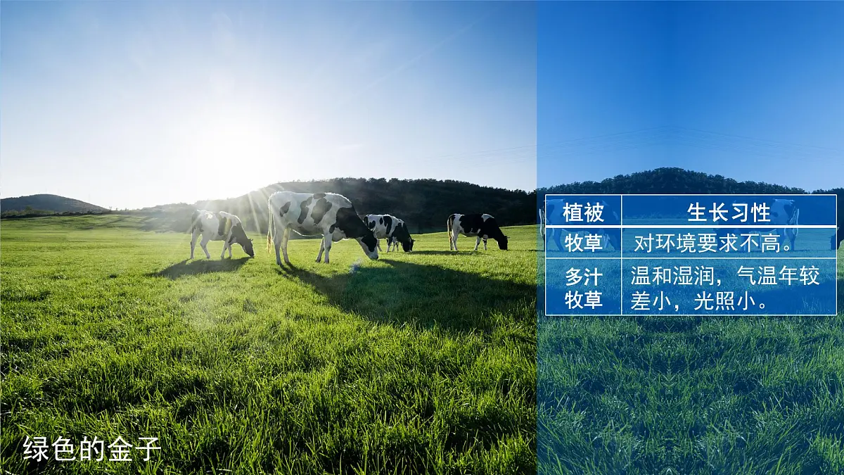 9.2 欧洲西部（第2课时）课件 地理人教版（2024）七年级下册第九章第二节第5页