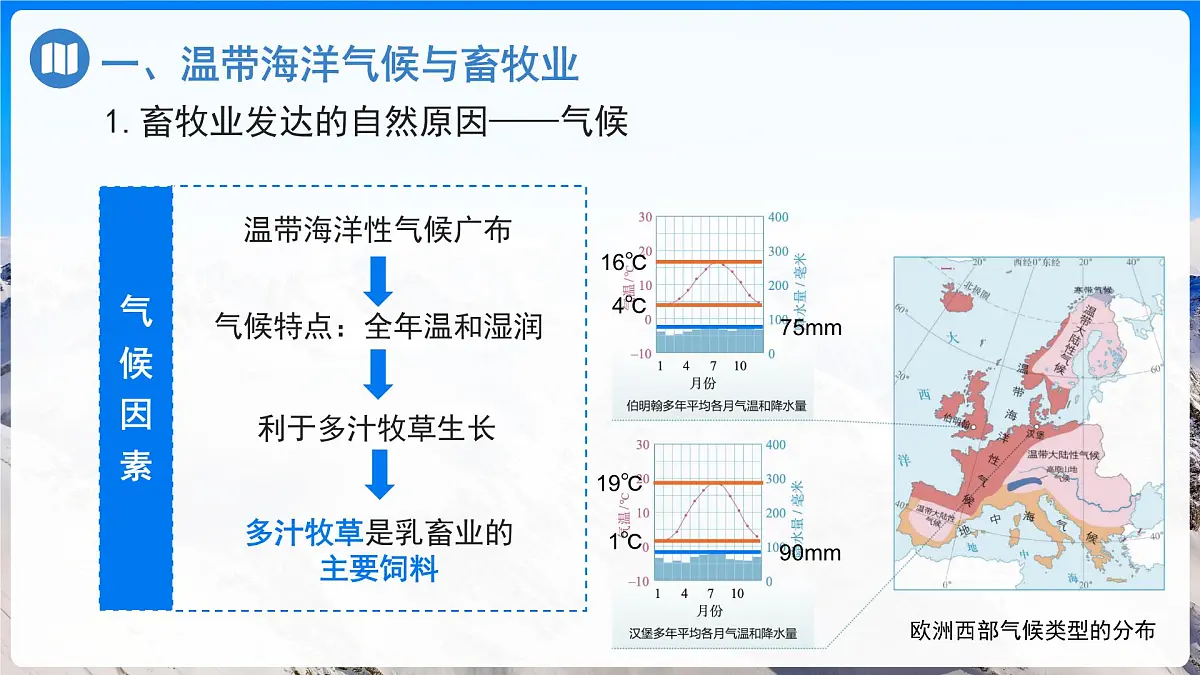 9.2 欧洲西部（第2课时）课件 地理人教版（2024）七年级下册第九章第二节第7页