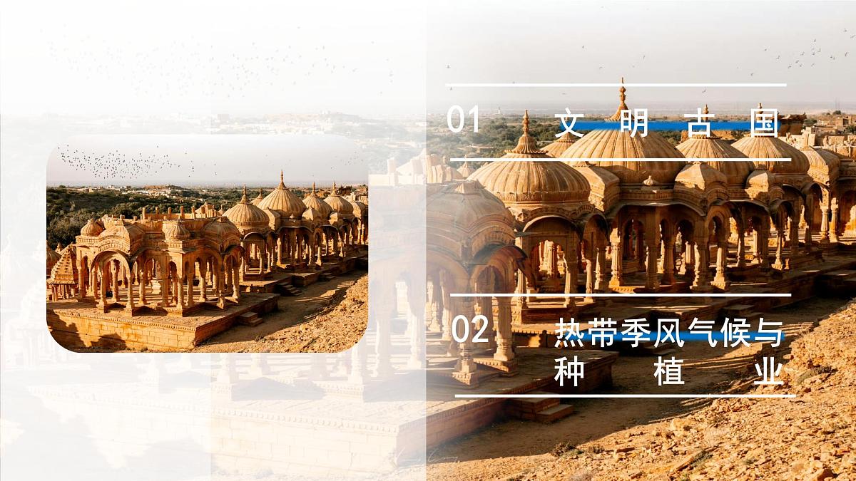 8.2印度（第一课时）课件 地理商务星球版（2024）七年级下册第八章第二节第4页