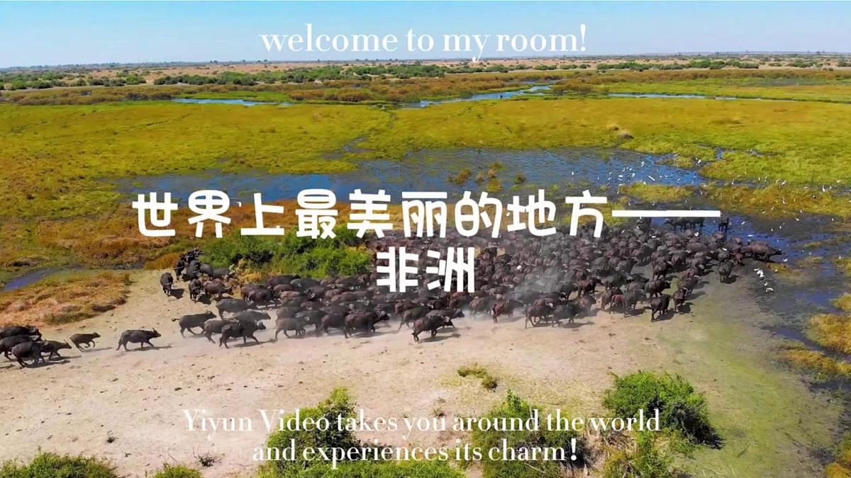 9.3 撒哈拉以南非洲1 课件 2025学年人教版地理七年级下册第2页