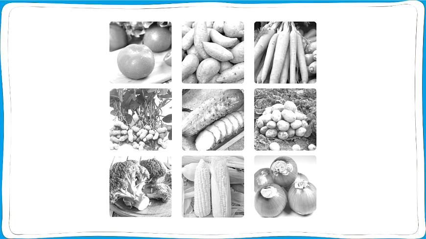 【跨学科主题学习】探索外来食料作物传播史 训练课件2024-2025学年人教版地理七年级上册第3页