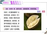 8.2東南亞課件-2024-2025學年地理人教版七年級下冊