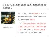 9.2巴西 第1課時(shí) 課件-2024-2025學(xué)年七年級(jí)地理下冊(cè)（粵人版2024）