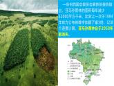 9.2巴西第2課時(shí) 課件-2024-2025學(xué)年七年級(jí)地理下冊(cè)（粵人版2024）