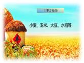 2025年春人教版地理八年級下冊同步授課課件 第六章第二節(jié)第2課時