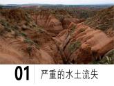 2025年春人教版地理八年級下冊同步授課課件 第六章第三節(jié) 第2課時