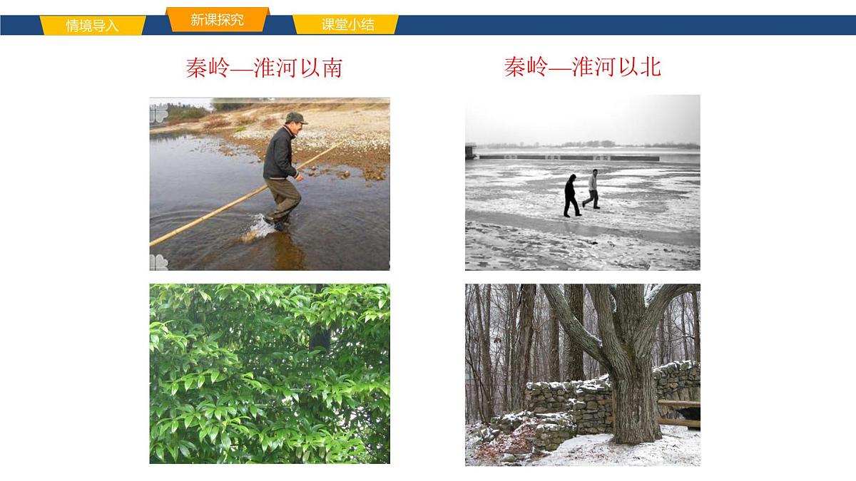 2025年春湘教版地理八年级下册同步授课课件 第五章第一节 四大地理区域的划分第8页