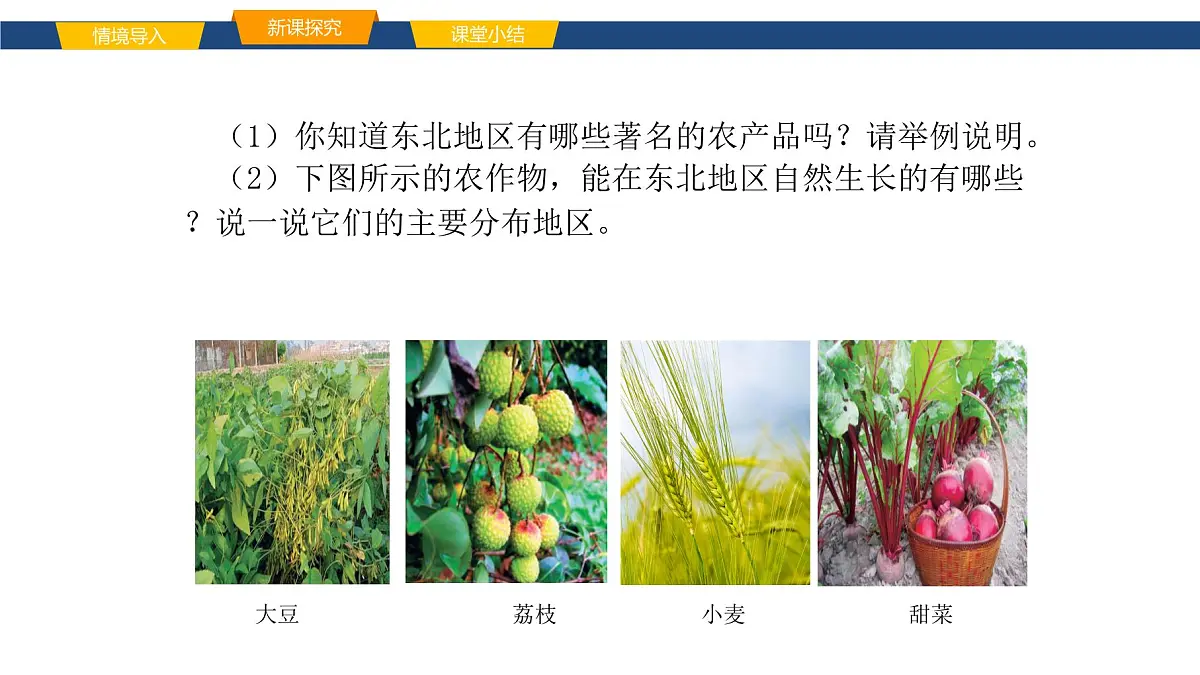 2025年春湘教版地理八年级下册同步授课课件 第六章第三节 东北地区的产业分布第6页