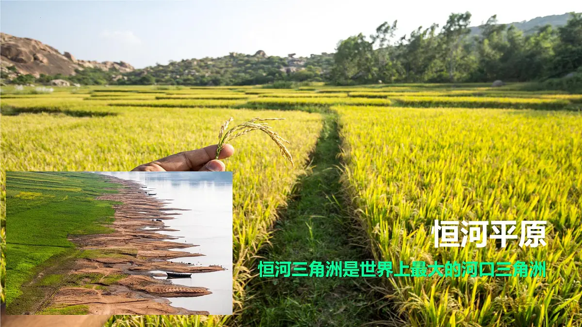 7.4+了解印度++课件-2024-2025学年晋教版地理七年级下册第7页