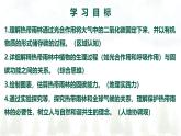 2024—2025學(xué)年下學(xué)期七年級地理下冊跨學(xué)科主題學(xué)習(xí) 探尋熱帶雨林的固碳功能PPT