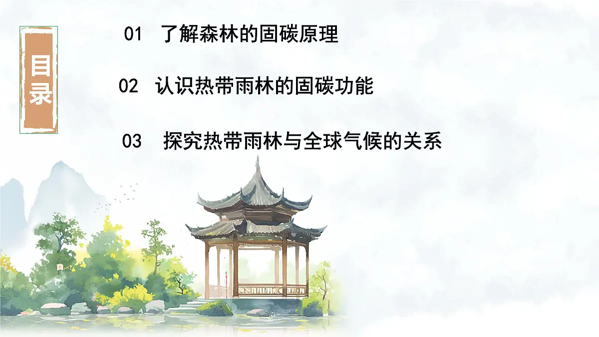 2024—2025学年下学期七年级地理下册跨学科主题学习 探寻热带雨林的固碳功能PPT第4页