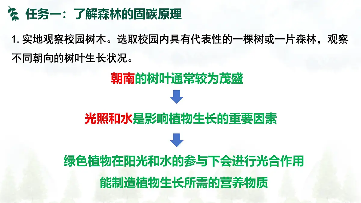 2024—2025学年下学期七年级地理下册跨学科主题学习 探寻热带雨林的固碳功能PPT第8页