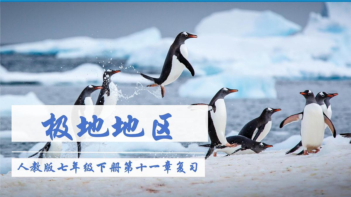 2024—2025学年下学期七年级地理下册第十一章 极地地区  章复习PPT第1页