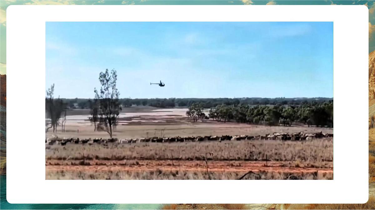 【新教材核心素养】商务星球版地理七年级下册8.4.2 澳大利亚（课时2）（课件）第6页