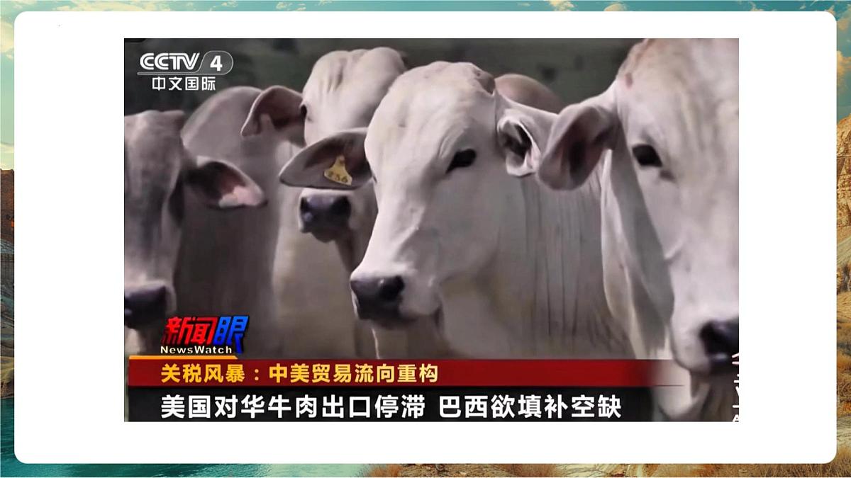 【新教材核心素养】商务星球版地理七年级下册8.6.2 巴西（课时2）（课件）第4页