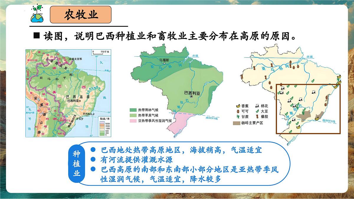 【新教材核心素养】商务星球版地理七年级下册8.6.2 巴西（课时2）（课件）第8页