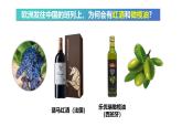 9.2+歐洲西部+第2課時+課件-2024-2025學(xué)年人教版（2024）地理+七年級下冊