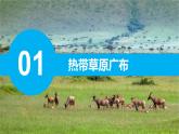 9.3 撒哈拉以南非洲（第1課時(shí)）課件 2025學(xué)年地理人教版（2024）七年級下冊