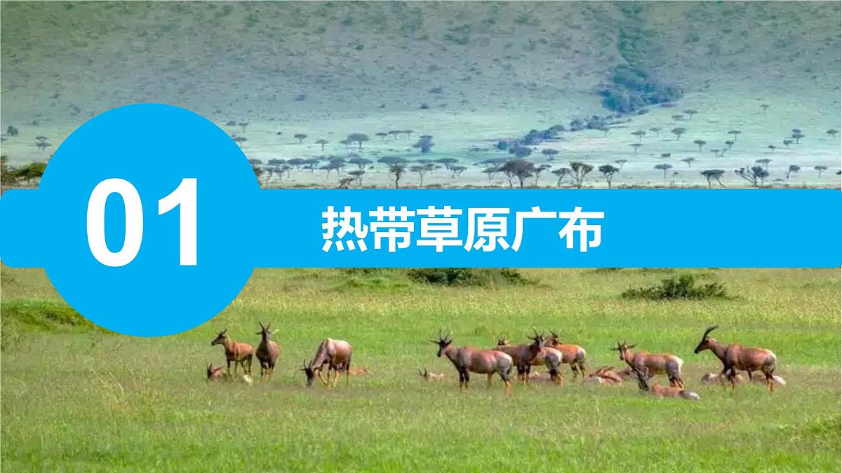 9.3 撒哈拉以南非洲（第1课时）课件 2025学年地理人教版（2024）七年级下册第3页