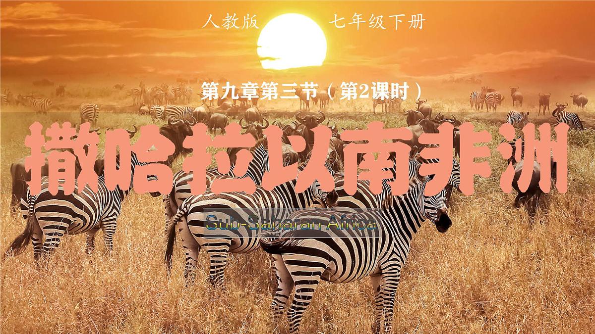9.3 撒哈拉以南非洲（第2课时）课件 2025学年地理人教版七年级下册第3页