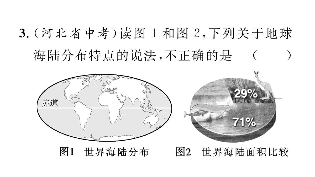 初中地理 人教版（2024）七年级上册3.1 大洲和大洋 课件第7页