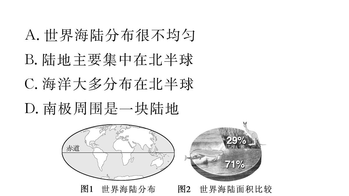 初中地理 人教版（2024）七年级上册3.1 大洲和大洋 课件第8页