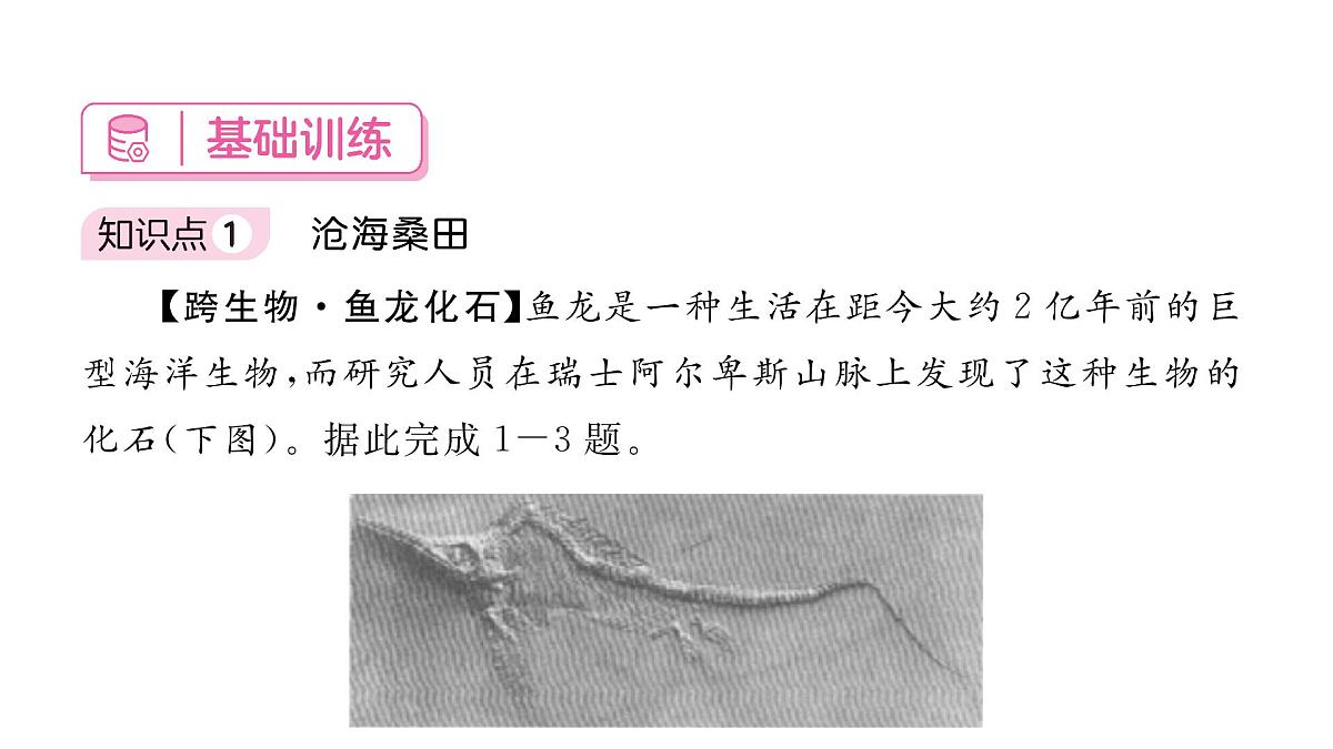 初中地理 人教版（2024）七年级上册3.3 海陆的变迁 习题课件 有答案第6页