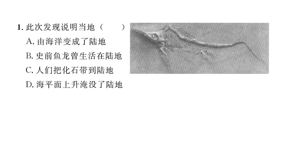 初中地理 人教版（2024）七年级上册3.3 海陆的变迁 习题课件 有答案第7页