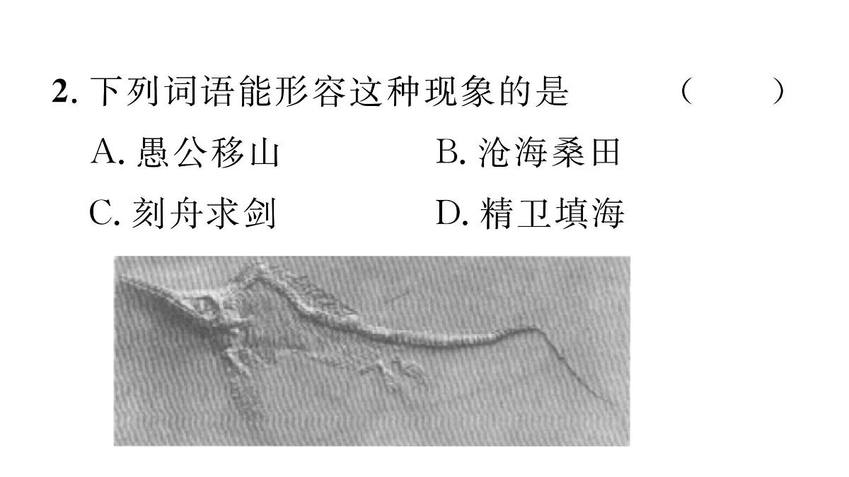 初中地理 人教版（2024）七年级上册3.3 海陆的变迁 习题课件 有答案第8页