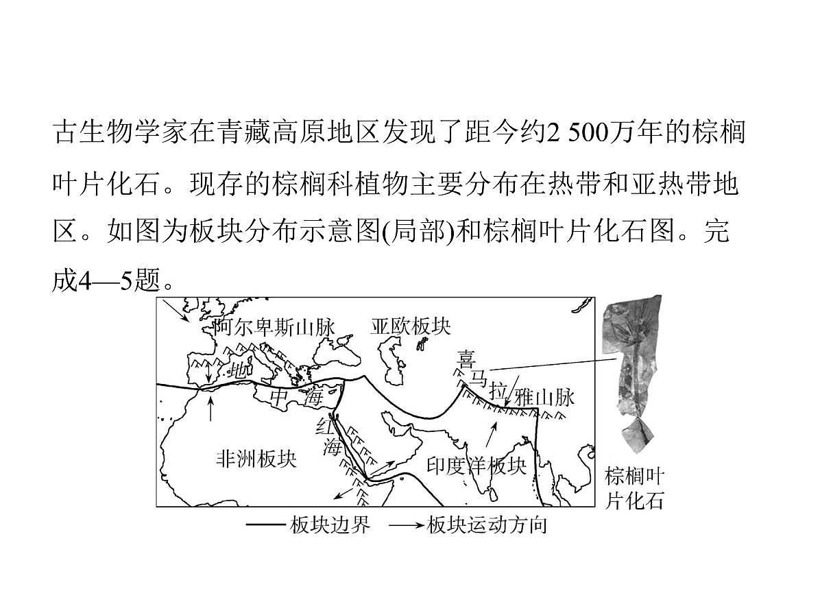 初中地理 人教版（2024）七年级上册第三章 陆地和海洋 试题讲解课件有答案03-第三节　海陆的变迁第5页