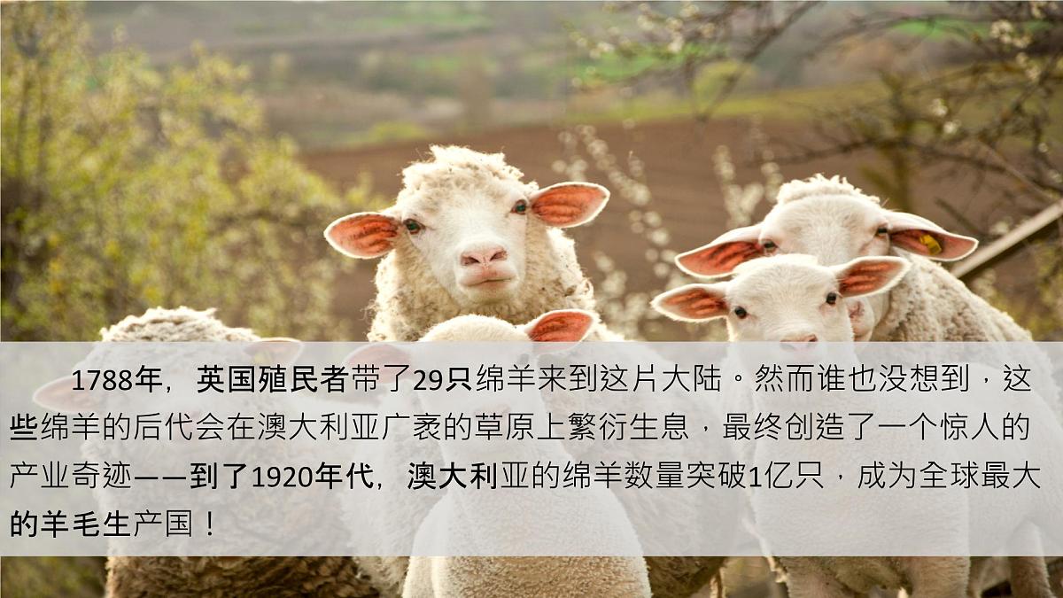 9.4《澳大利亚》第2课时课件-2024-2025学年人教版地理七年级下册第4页