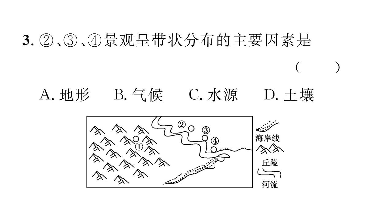 初中地理 人教版（2024）七年级上册5.2 城镇与乡村 习题课有答案件课件PPT第8页