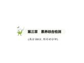 初中地理 人教版（2024）七年級(jí)上冊第三章 陸地和海洋 試題講解課件有答案04-第三章　素養(yǎng)綜合檢測