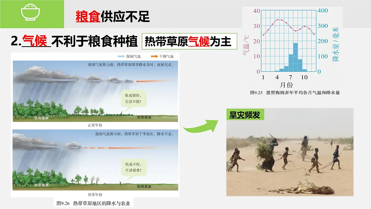 人教版地理七年级下册9.3《撒哈拉以南非洲》第2课时教学课件第6页