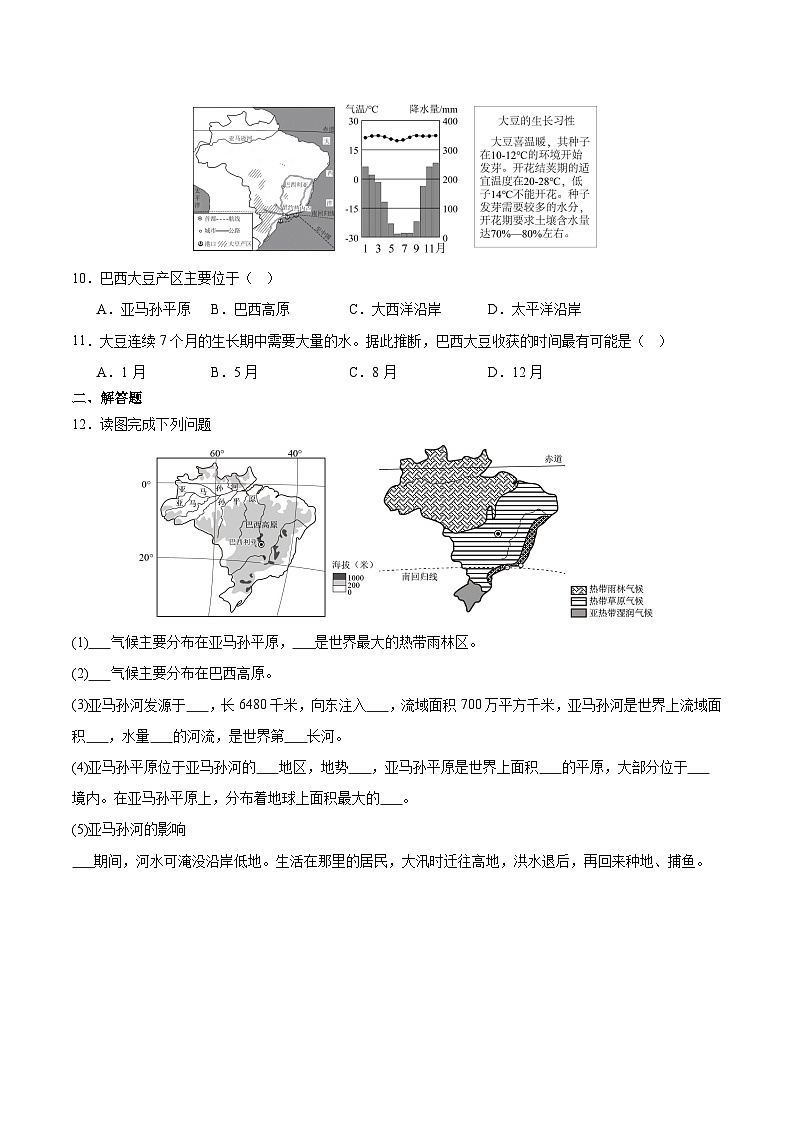 巴西第一课时（分层作业）（原卷版）第3页