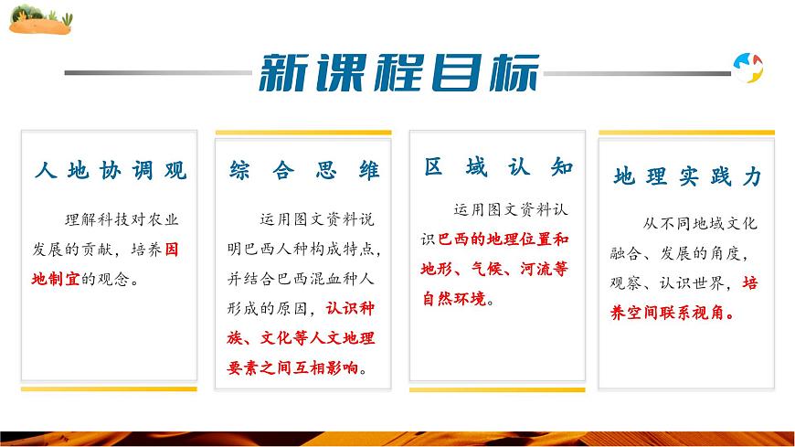 10.2.1 巴西（第1课时 混血种人为主和发展中的经济大国）（课件）第4页