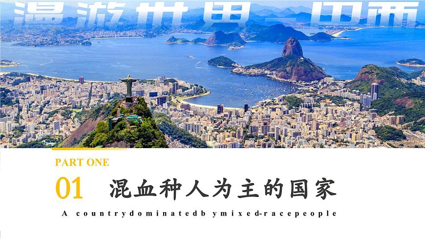 10.2.1 巴西（第1课时 混血种人为主和发展中的经济大国）（课件）第5页
