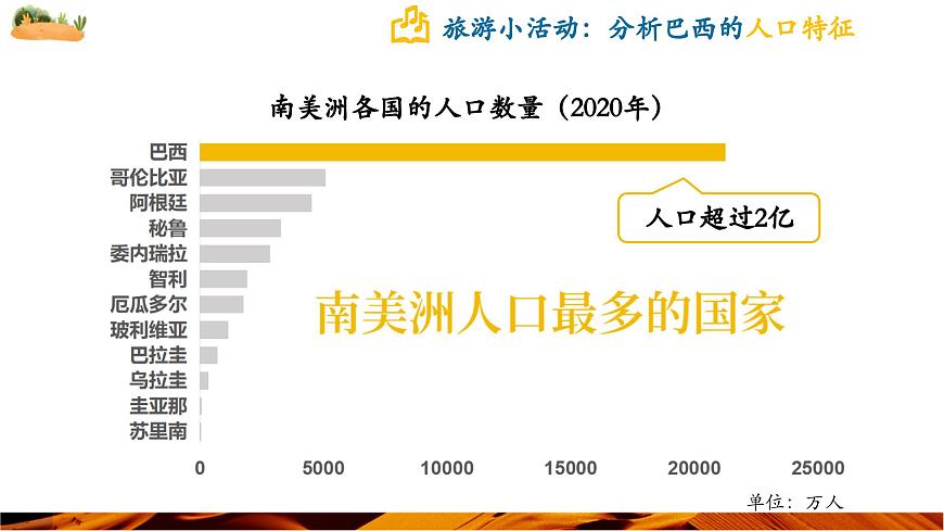 10.2.1 巴西（第1课时 混血种人为主和发展中的经济大国）（课件）第8页