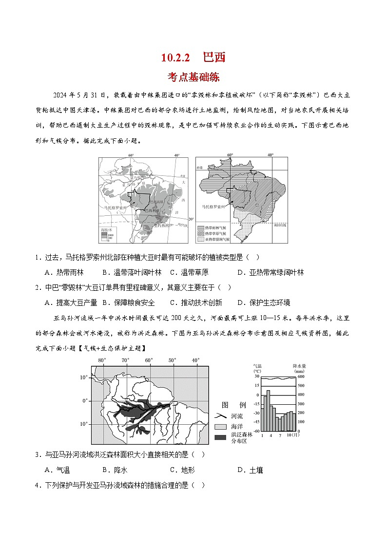 巴西第二课时（分层作业）（原卷版）第1页