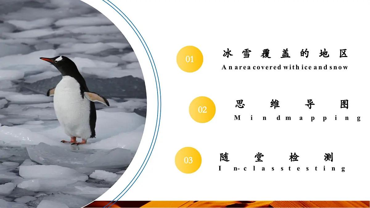 11.1 极地地区（第1课时 冰雪覆盖的地区）（课件）第5页