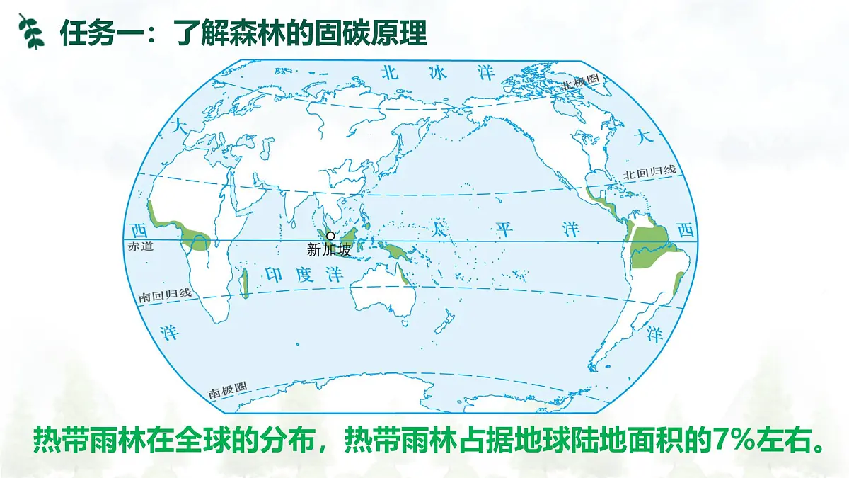 跨学科主题学习 探寻热带雨林的固碳功能（课件）2025学年七年级地理下册人教版第7页