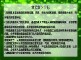 第9章 美國、巴西 2025學(xué)年六年級(jí)地理下學(xué)期期末考點(diǎn)大串講（魯教五四制2024）課件