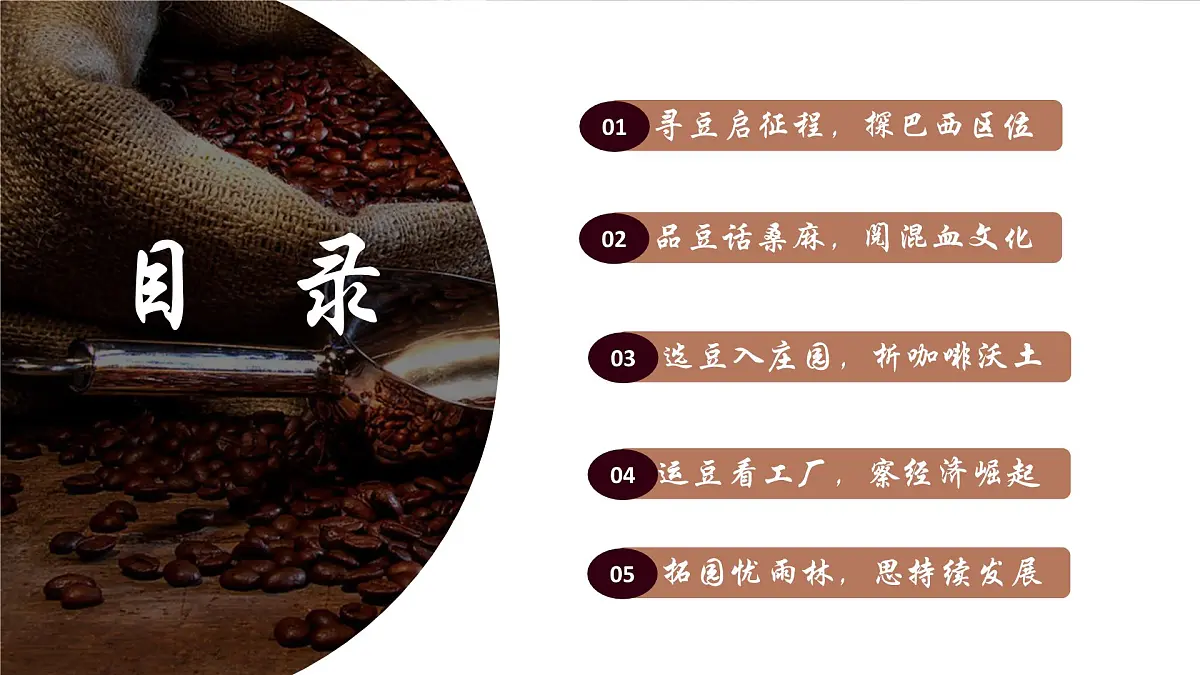 10.2巴西 课件-2024-2025学年七年级地理下学期人教版（2024）第4页
