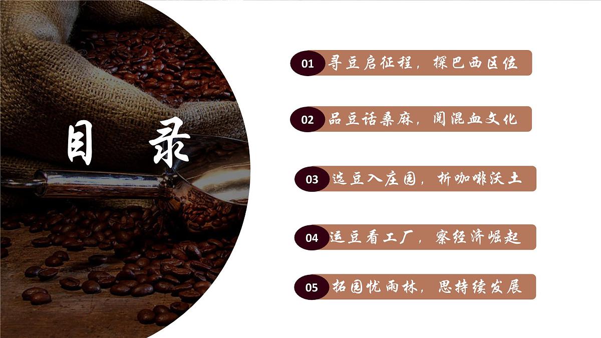 10.2巴西 课件-2024-2025学年七年级地理下学期人教版（2024）第4页