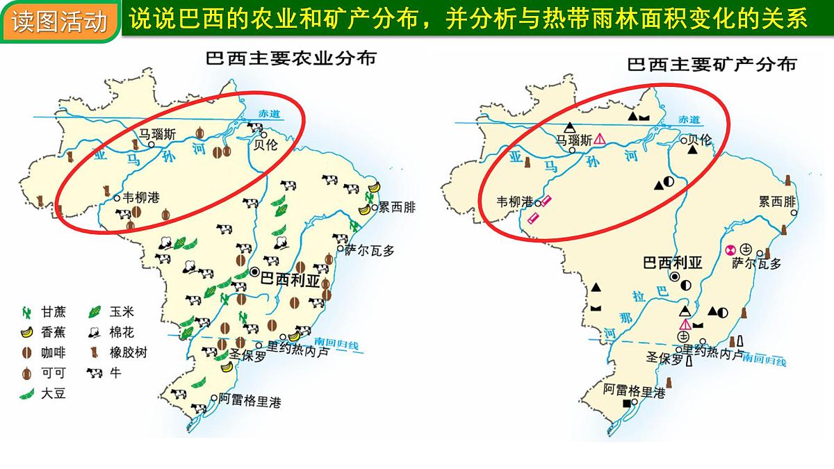 9.2.2 巴西第二课时 2025学年七年级地理下册同步精品课件（粤人版2024）第8页